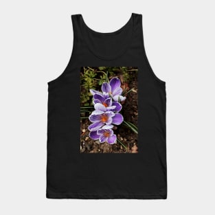 crocuses lined up Tank Top